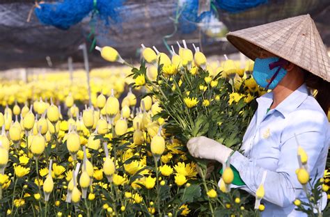  Cuộc nổi dậy tháng Chạp: Lòng nhiệt thành và sự bất mãn của tầng lớp nông dân